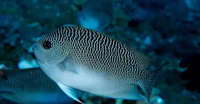 640.webp (17).jpg