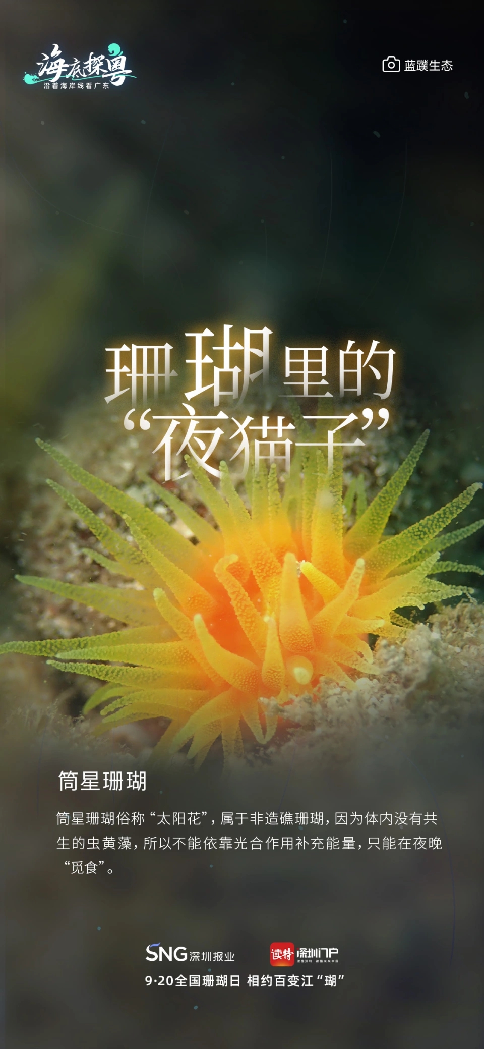 01.webp.jpg