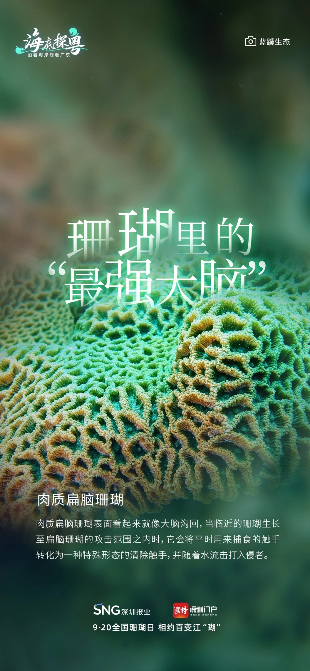 02.webp.jpg